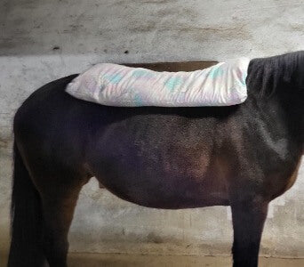 Dinkelspelzkissen Wärmekissen auf Pferd bei Verspannungen
