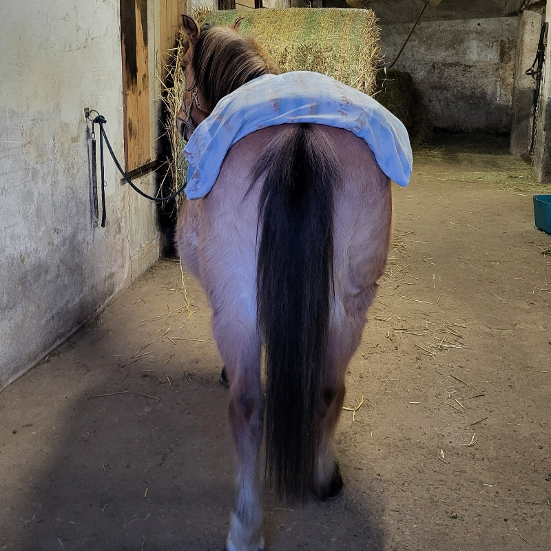 Wärmekissen Pony Heidi