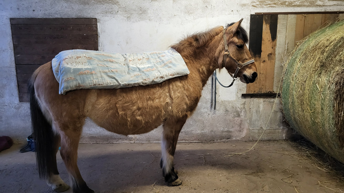 Pony-Heidi mit Waermekissen-Dinkelspelzkissen auf dem Rücken