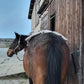 Dinkelspelzkissen / Wärmekissen Pferd