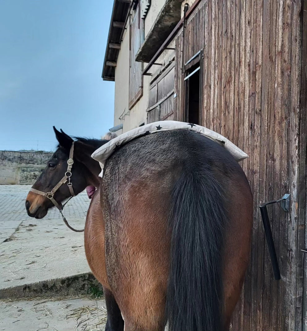 Dinkelspelzkissen / Wärmekissen Pferd